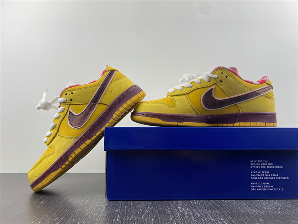 Dunk Low Premium SB 