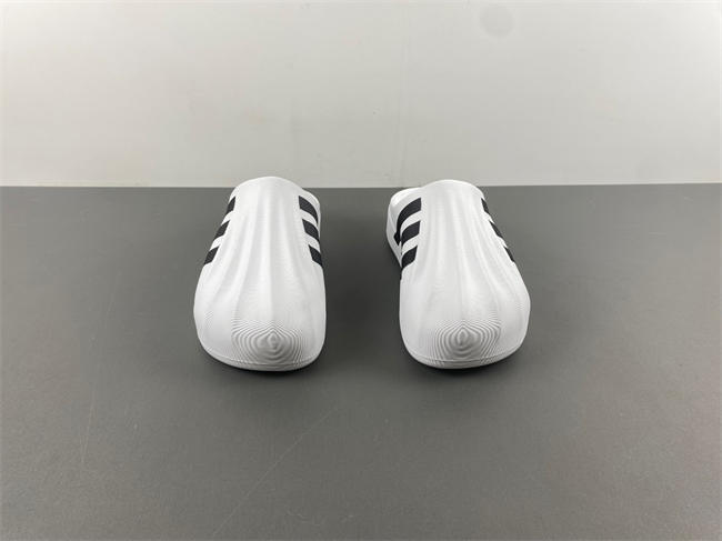Ad*s adifom superstar