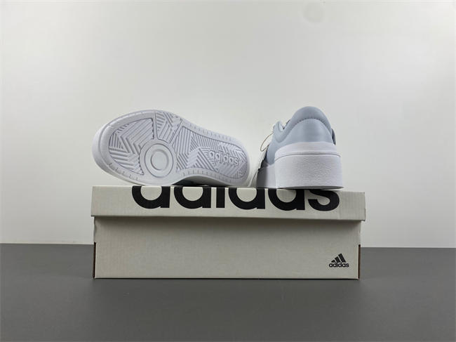 Ad*s labcourt fog 6.0 if1710