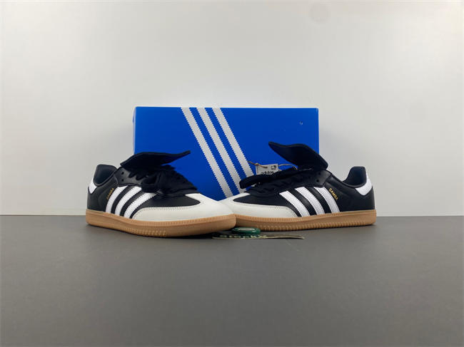 Ad*s samba lt ig2010
